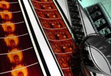 (SPORNO) Denar AIPA gre za predreferendumsko kampanjo Zveze društev slovenskih filmskih ustvarjalcev (ZDSFU)