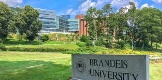 univerza Brandeis