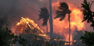 So bili požari na Havajih podtaknjeni? (Foto: Twitter)