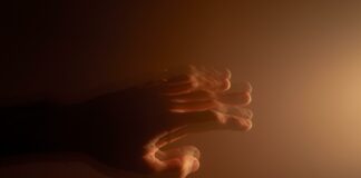 Fotografija je simbolična. (foto: Pixabay)