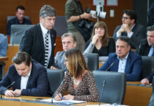 Borut Sajovic in njegovo vmešavanje v odločitve Tee Košir