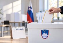 V novi Demokraciji preberite: Superreferendumska nedelja: Rekordna udeležba, nočni preobrat in dvomi o regularnosti